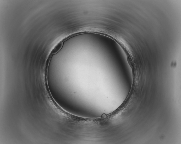 X0000090470896200707201352