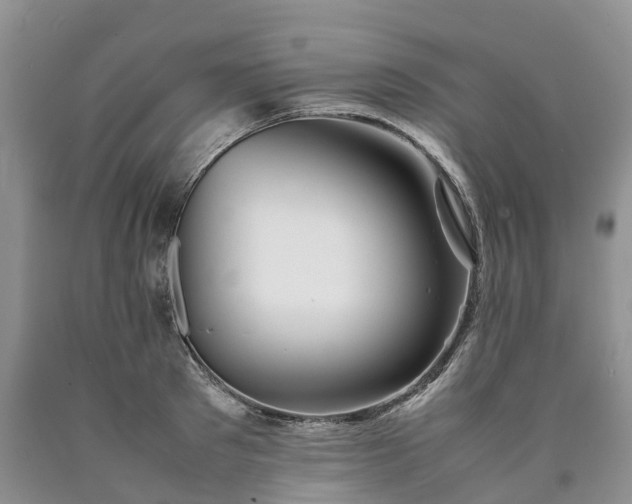 X0000090470897200707201352