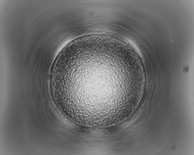 X0000090470899200707201352