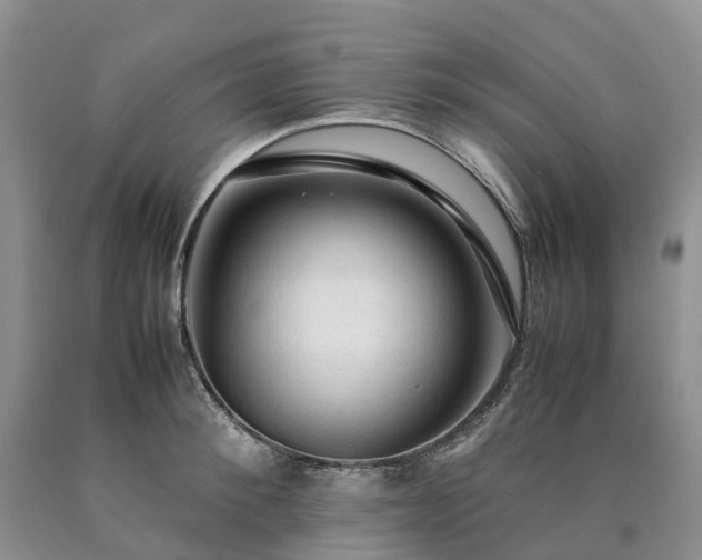X0000090470900200707201352