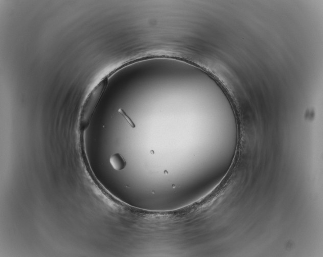 X0000090470902200707201352