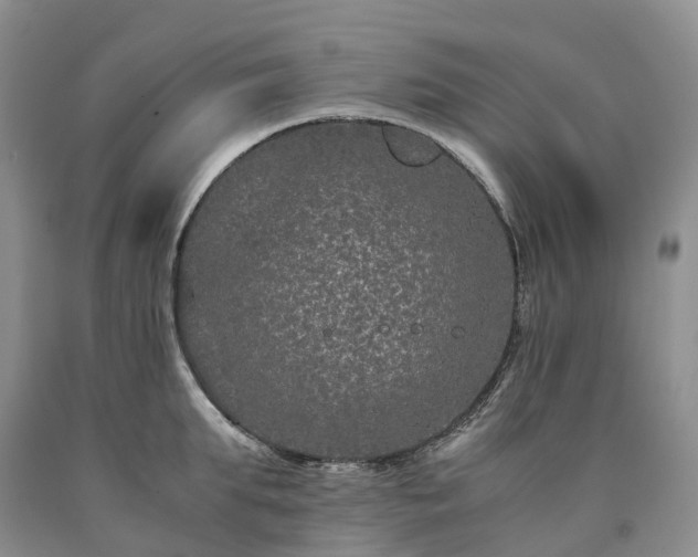 X0000090470903200707201352