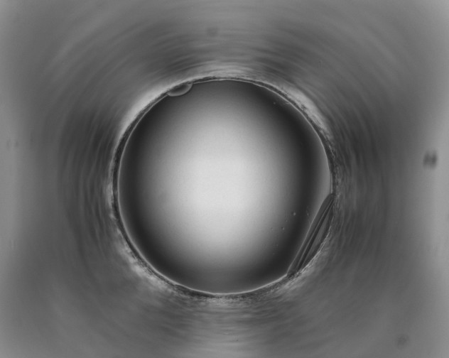 X0000090470904200707201352