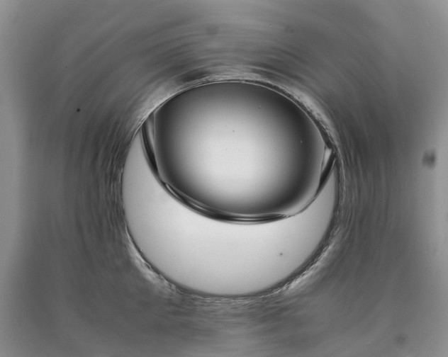 X0000090470905200707201352