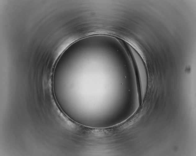 X0000090470906200707201352