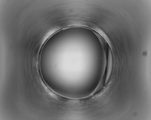 X0000090470909200707201352