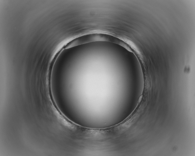 X0000090470910200707201352