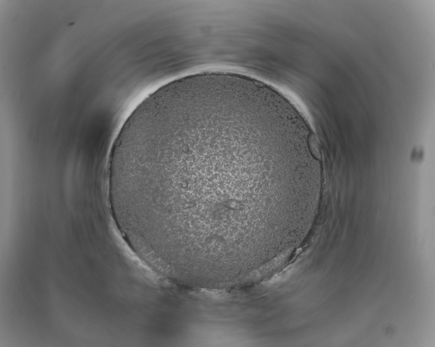 X0000090470911200707201352