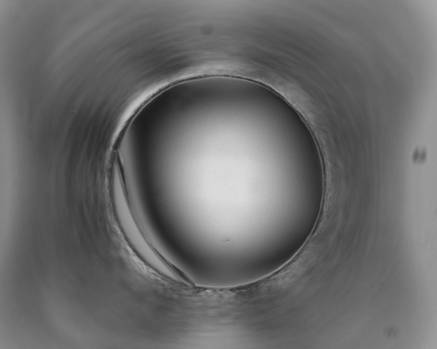 X0000090470912200707201352