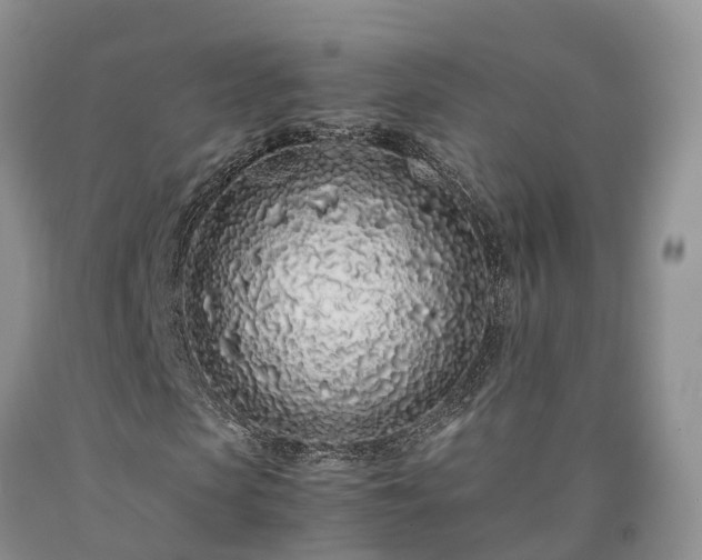 X0000090470913200707201351