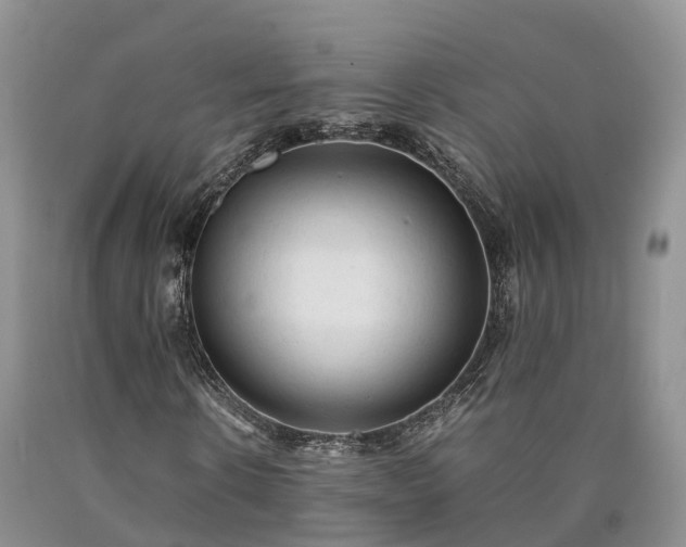 X0000090470914200707201351