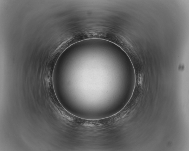 X0000090470915200707201351