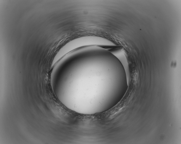 X0000090470916200707201351