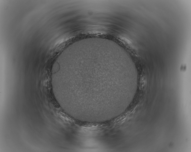 X0000090470917200707201351