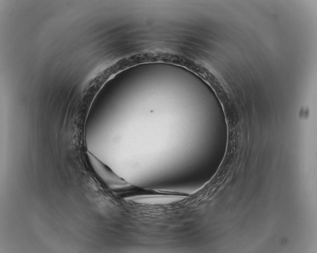 X0000090470919200707201351