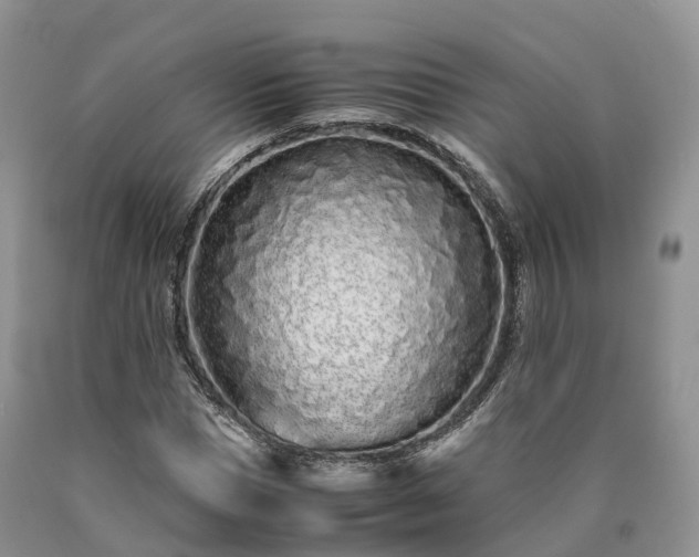 X0000090470921200707201351