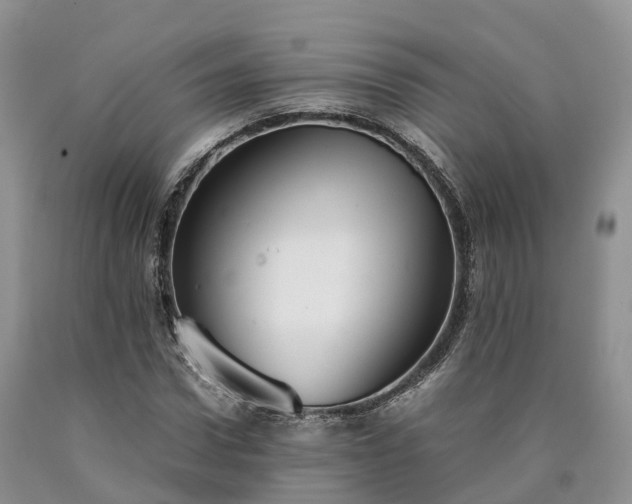 X0000090470922200707201351
