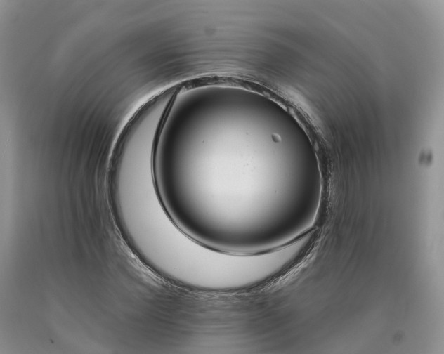 X0000090470924200707201351