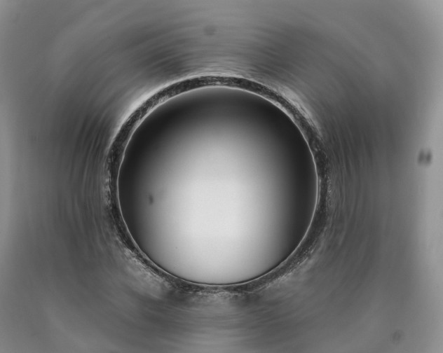 X0000090470926200707201351