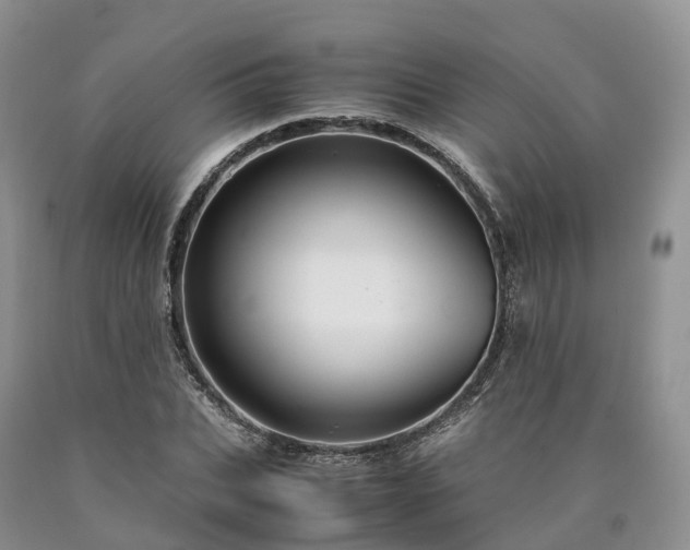 X0000090470927200707201351