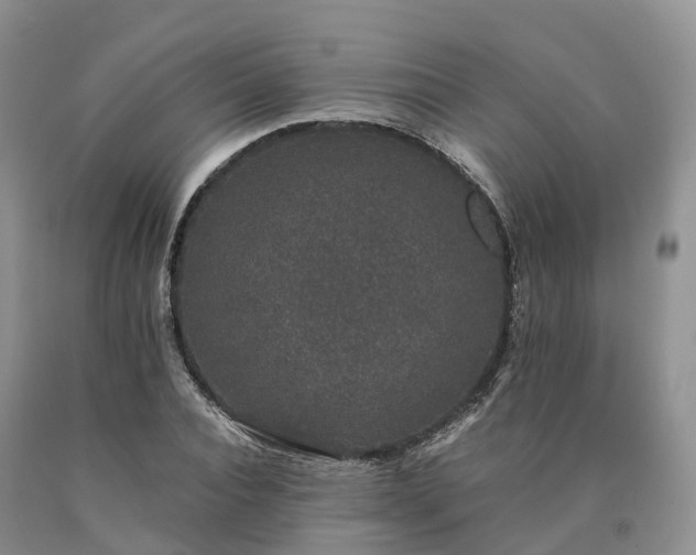 X0000090470928200707201351