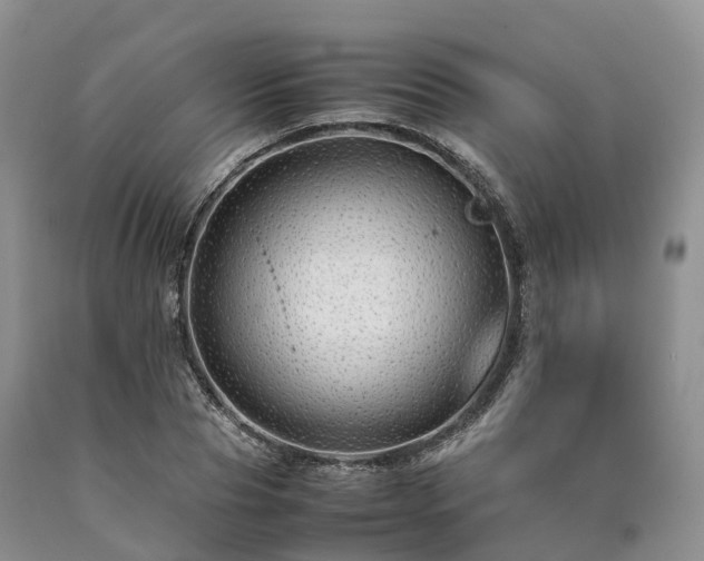 X0000090470929200707201351