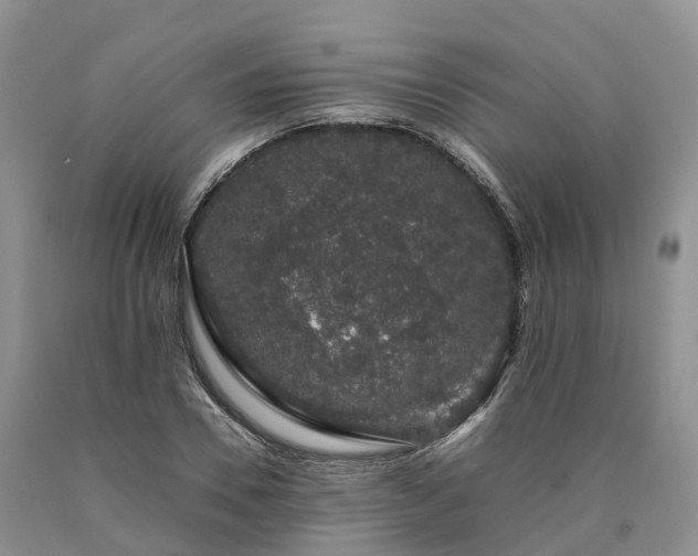 X0000090470930200707201351