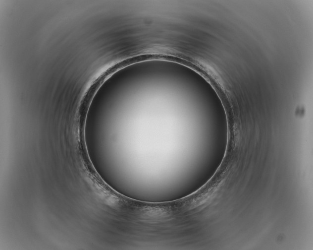 X0000090470931200707201351