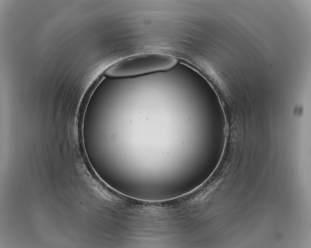 X0000090470932200707201351