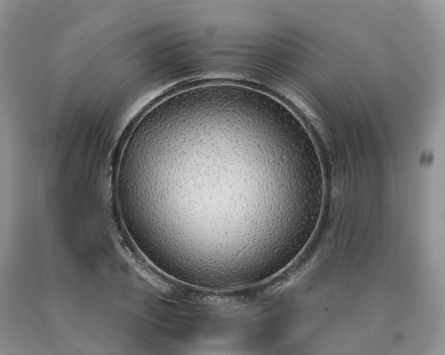 X0000090470933200707201351