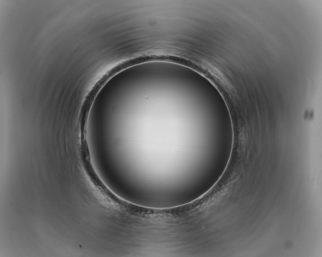 X0000090470934200707201351