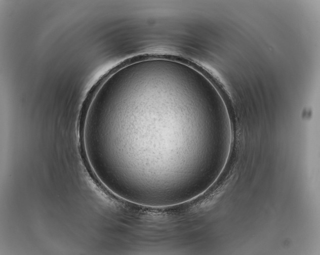 X0000090470935200707201351
