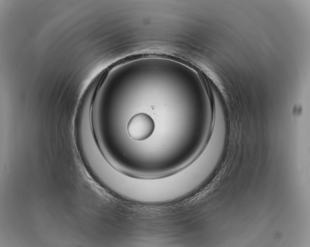 X0000090470936200707201351