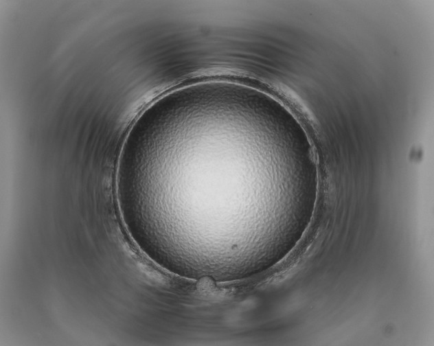 X0000090470937200707201351