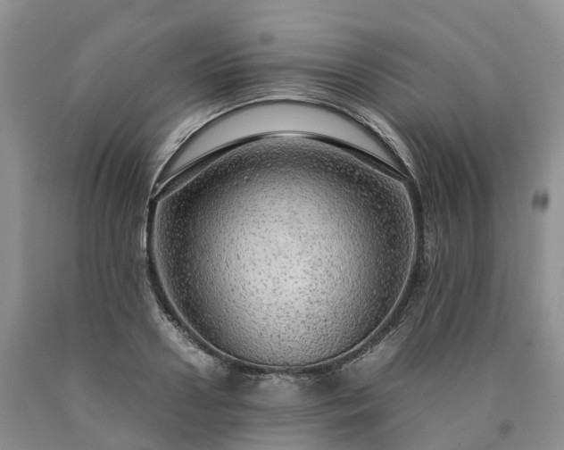 X0000090470938200707201351
