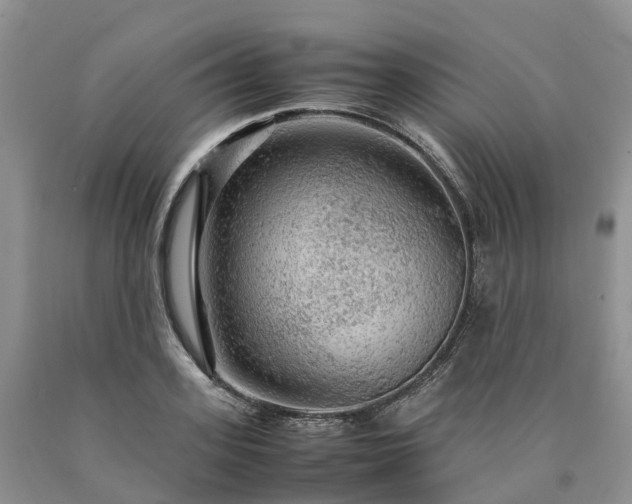 X0000090470939200707201351