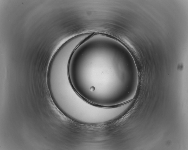 X0000090470940200707201351