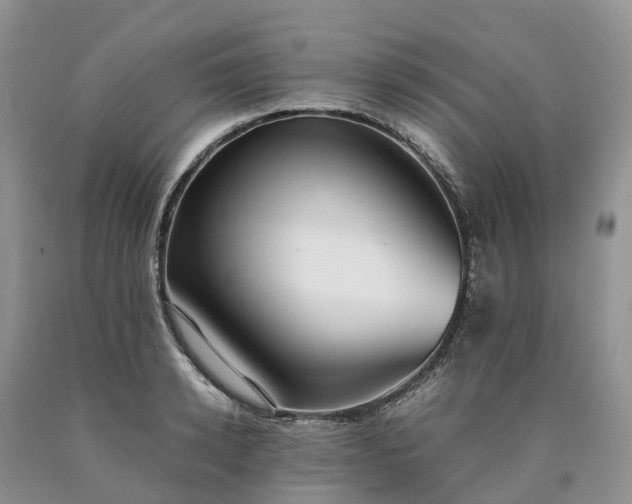 X0000090470942200707201351