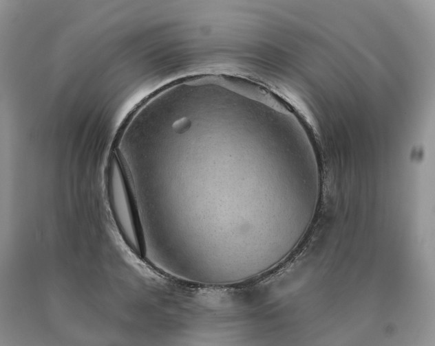 X0000090470944200707201351