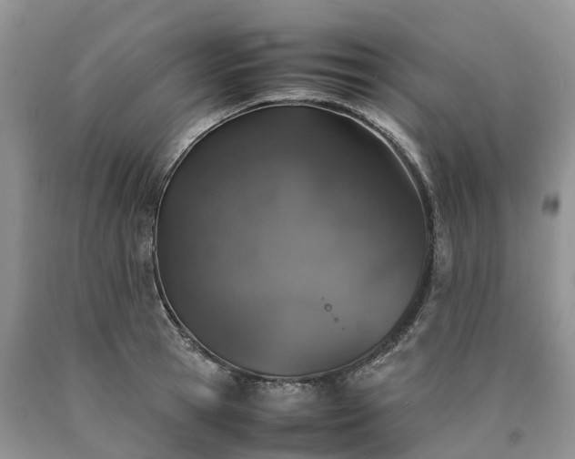 X0000090470945200707201351