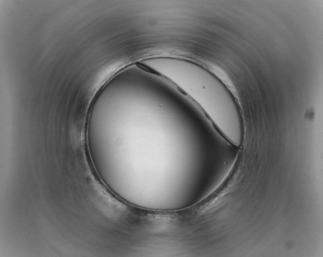 X0000090470946200707201351