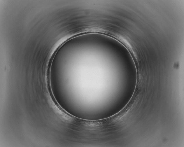 X0000090470947200707201352