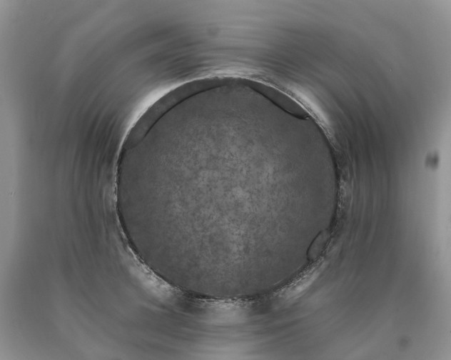 X0000090470948200707201352
