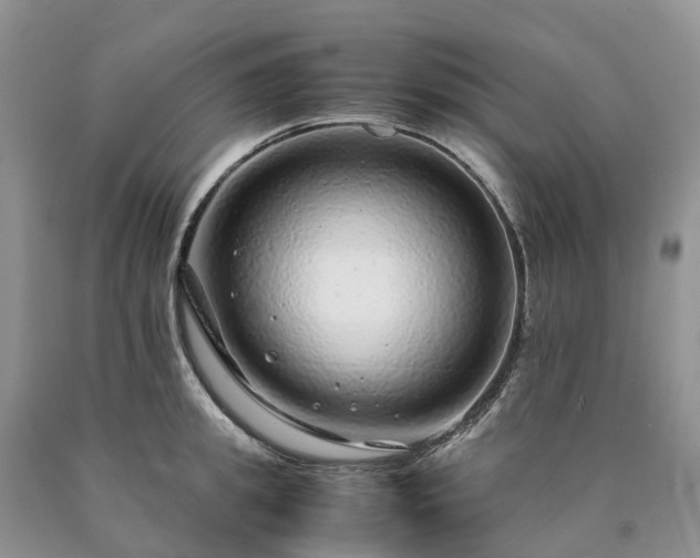 X0000090470949200707201352