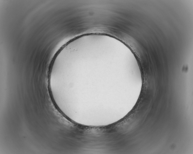X0000090470950200707201352
