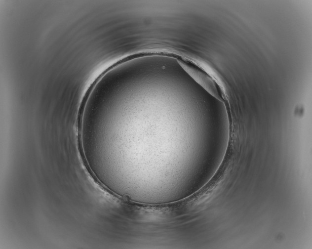 X0000090470951200707201352