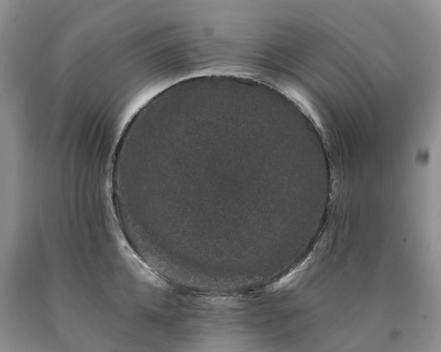 X0000090470952200707201352