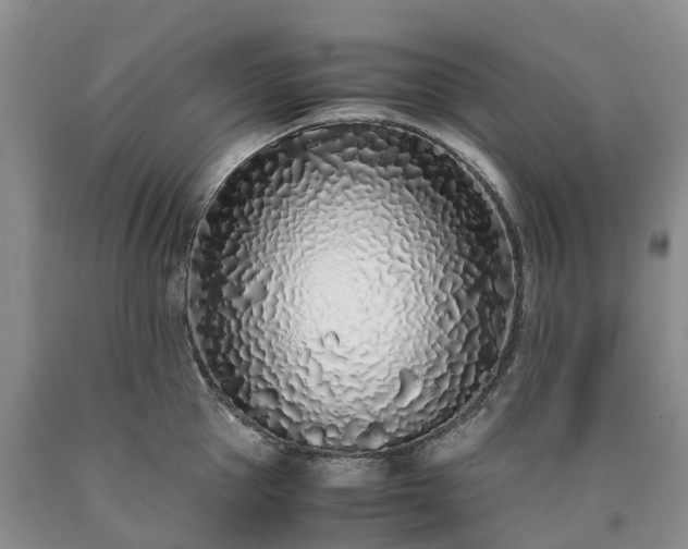 X0000090470953200707201352
