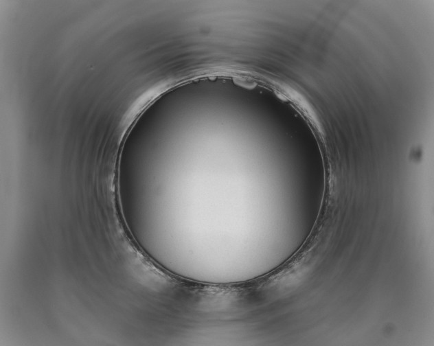 X0000090470954200707201352