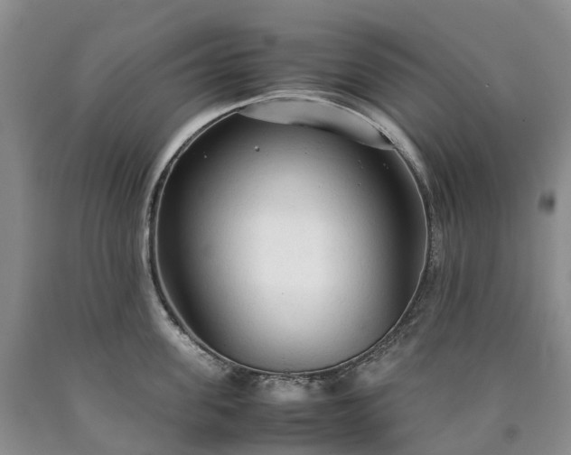 X0000090470955200707201352
